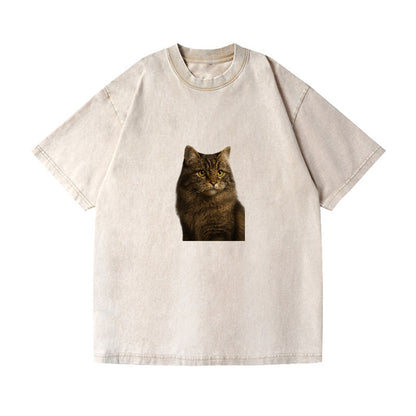 cymric-playful-spirit Hat