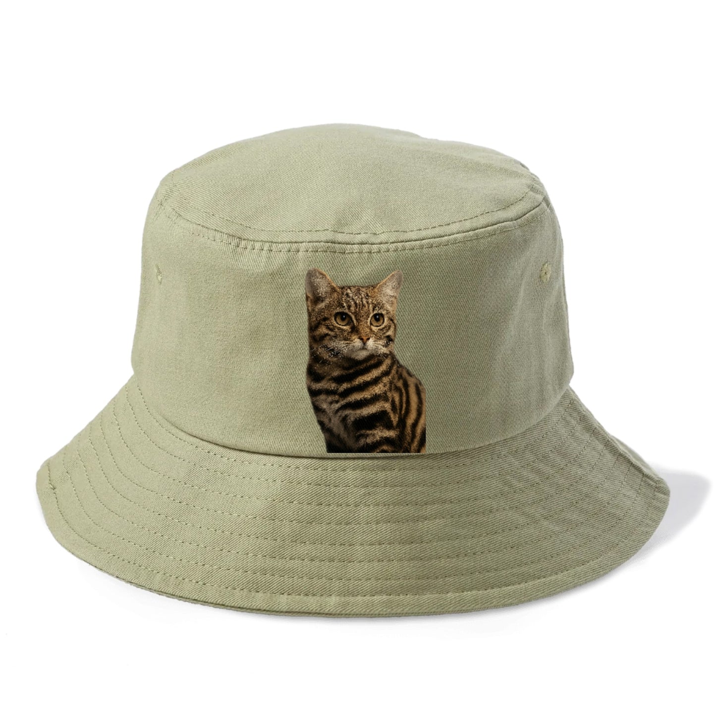 blackfooted-cat-elusive-hunter Hat