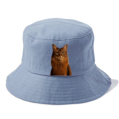 somali-cat-agile-grace Hat
