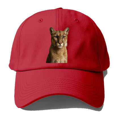 puma-stealthy-hunter Hat