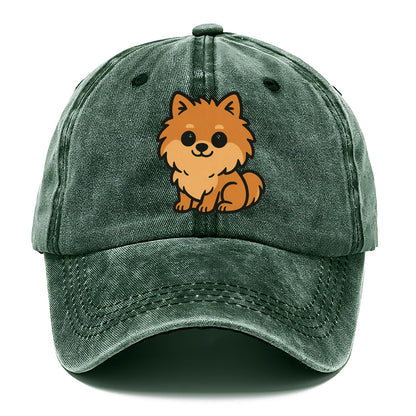 pomeranian orange fluffy sitting pose portrait design Hat