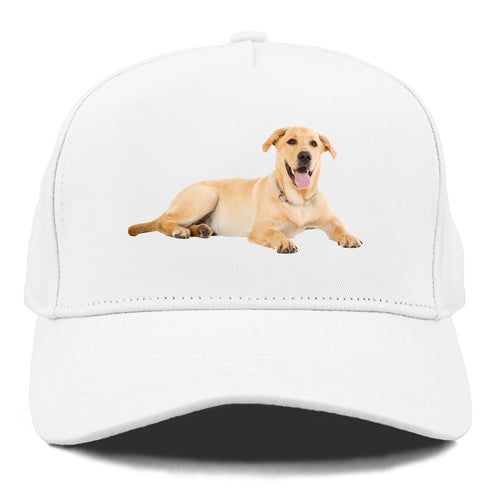 Labrador Laying Down Cap
