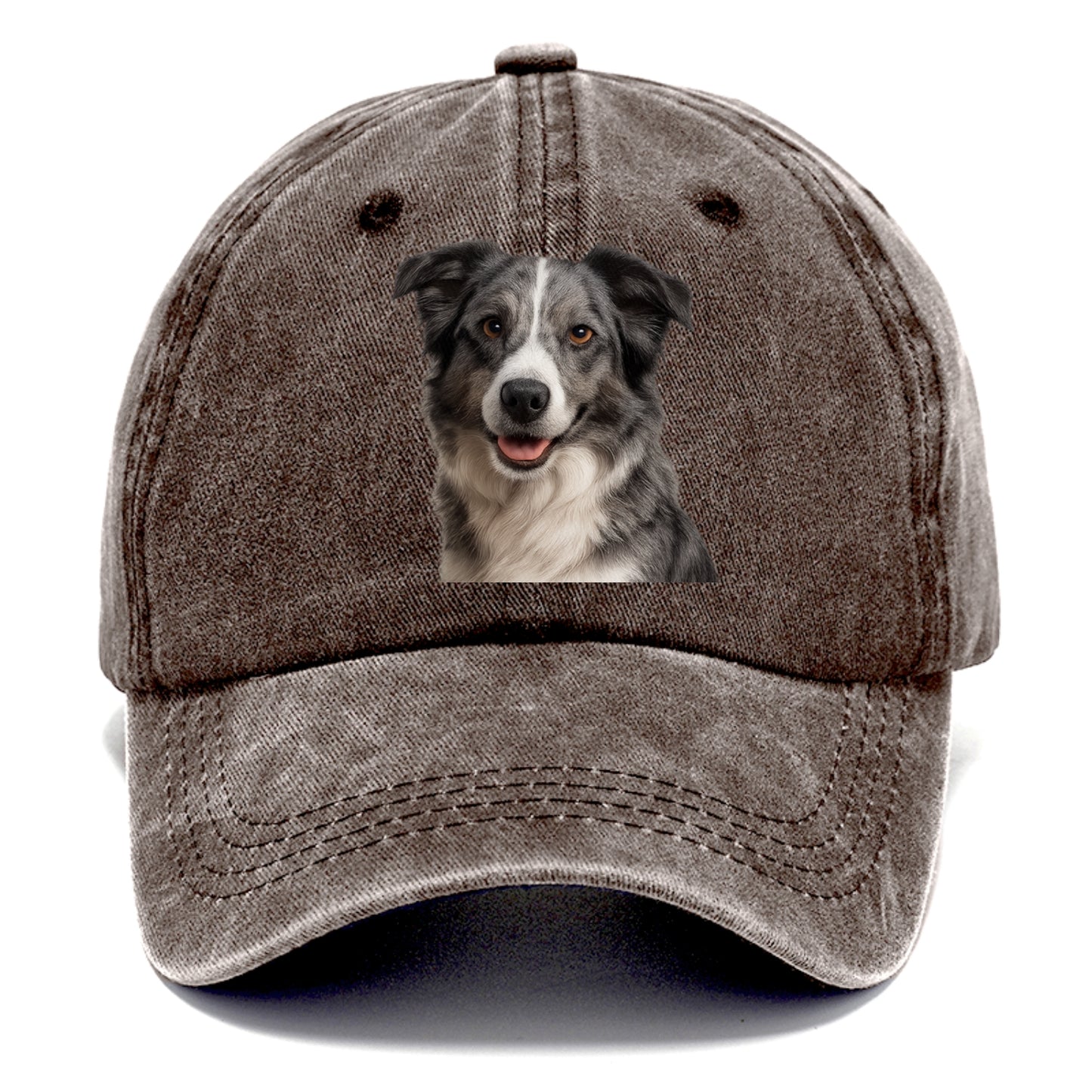 blue merle border collie agile mind Hat