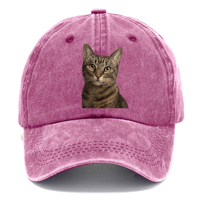 curious-cat-inquisitive-nature Hat