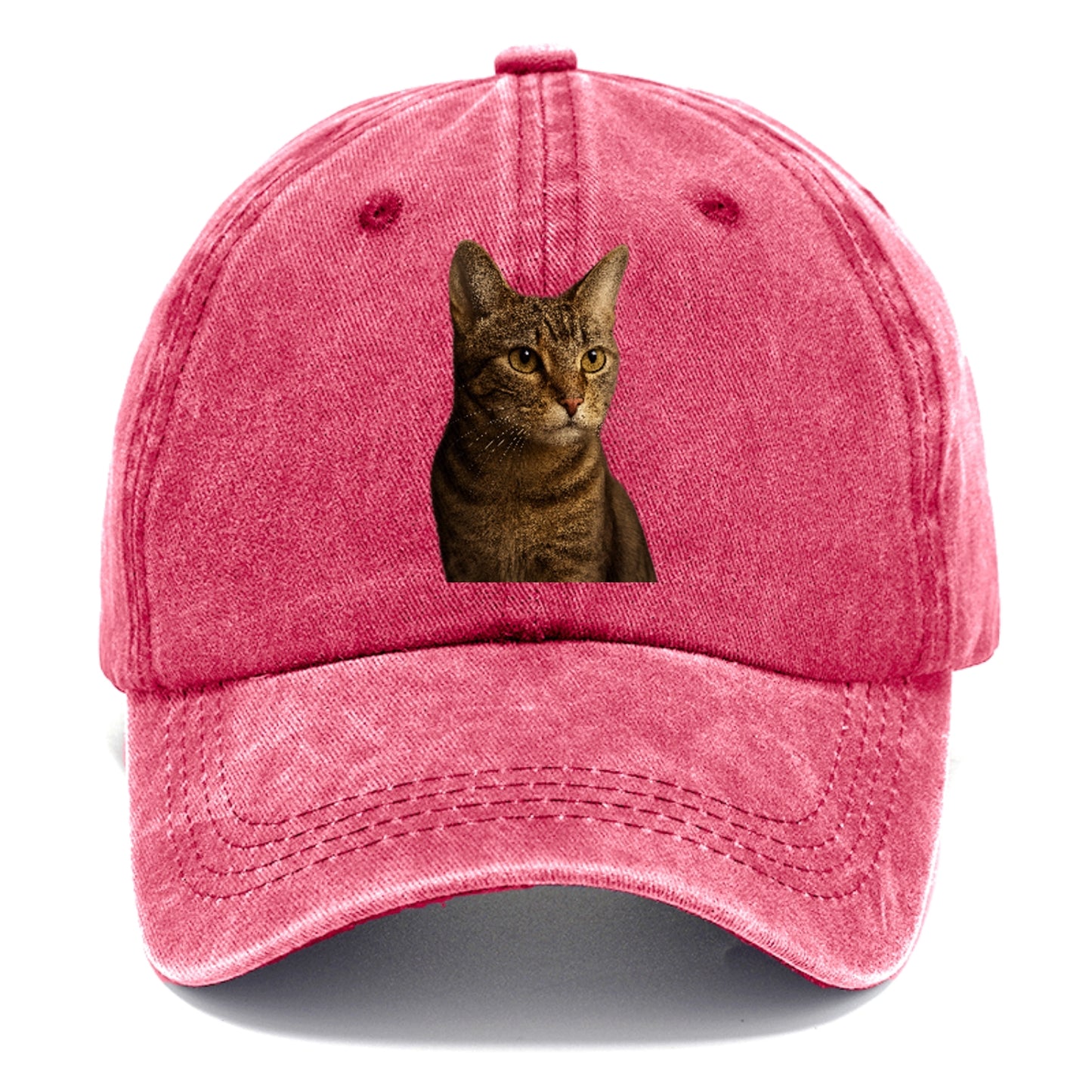 playful-cat-playful-spirit Hat
