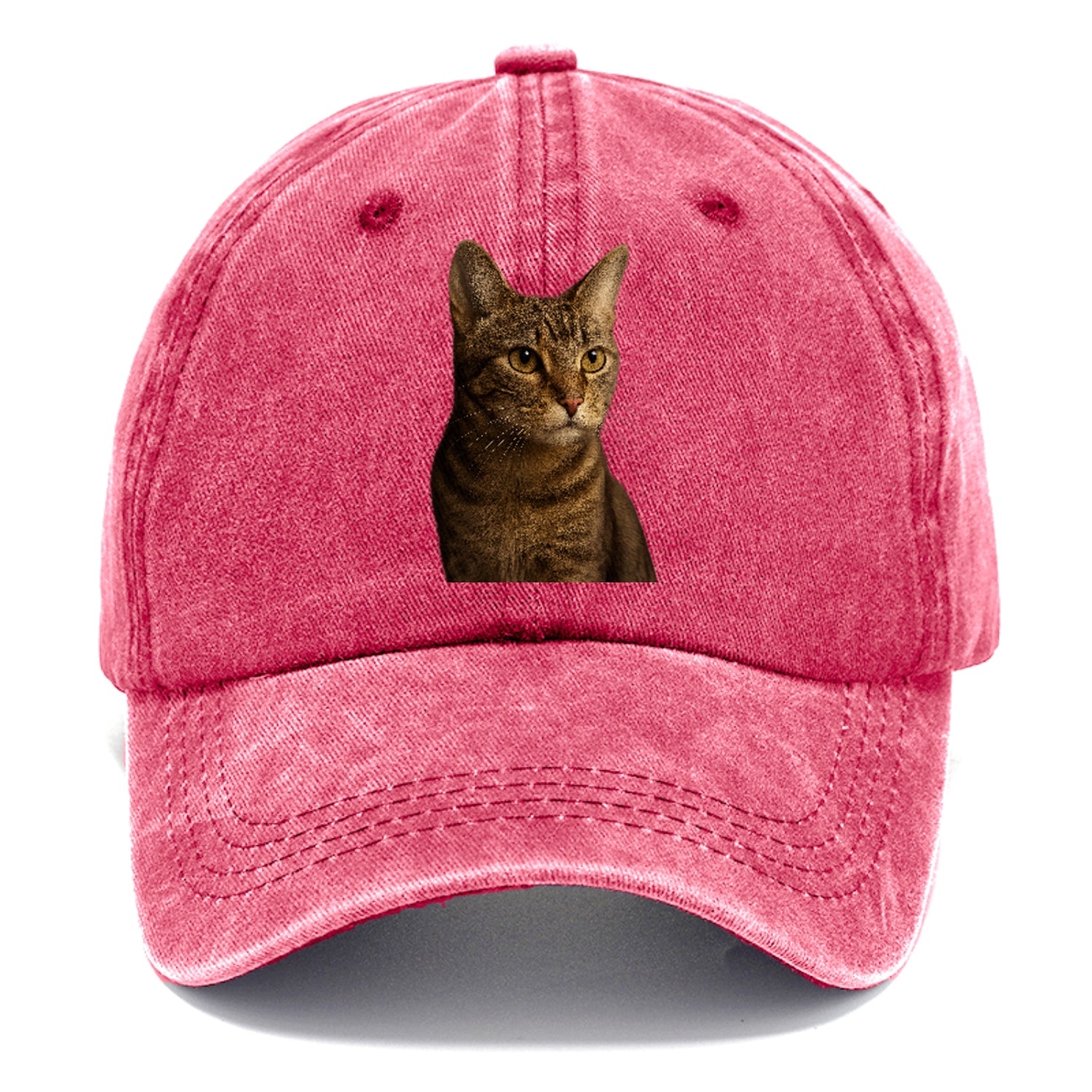 playful-cat-playful-spirit Hat