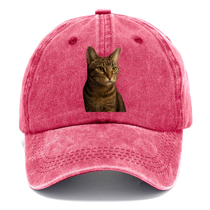playful-cat-playful-spirit Hat