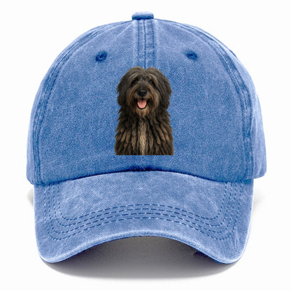 bergamasco shepherd: textured soul Hat