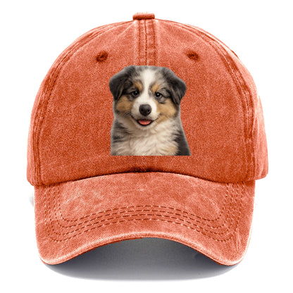 australian shepherd puppy portrait design Hat