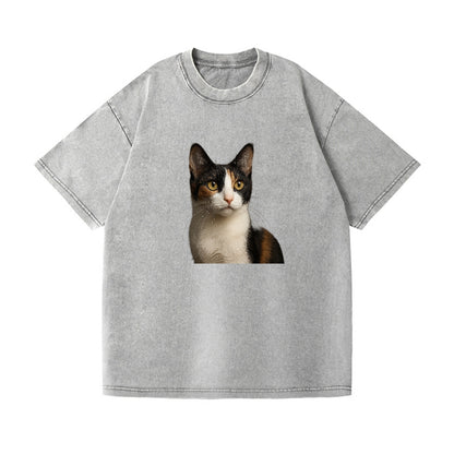 japanese-bobtail-playful-charm Hat