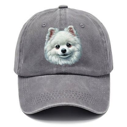 Pomeranian Hat