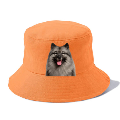 keeshond: silver fox spirit Hat