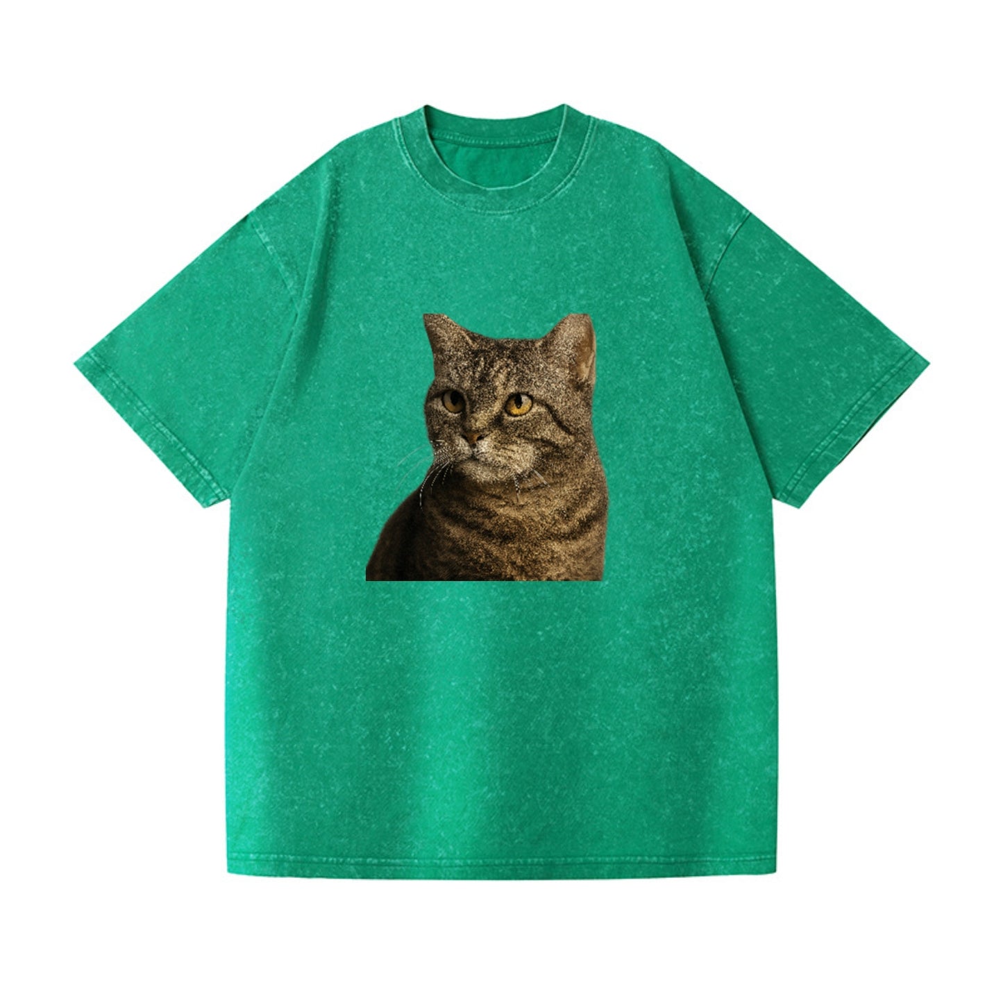 american-wirehair-unique-texture Hat