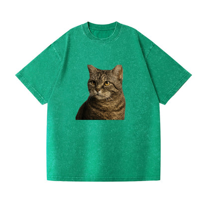 american-wirehair-unique-texture Hat