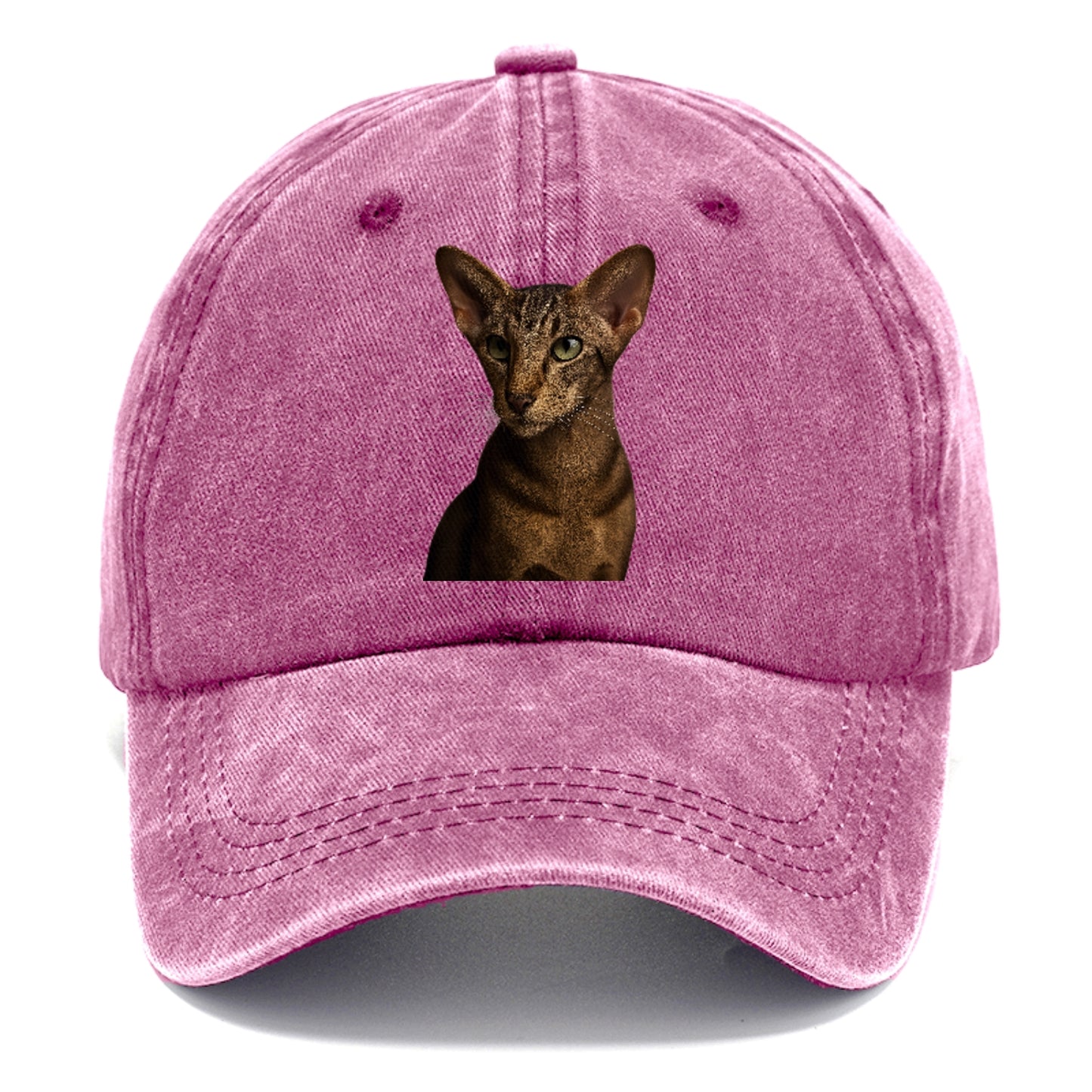oriental-shorthair-sleek-charm Hat