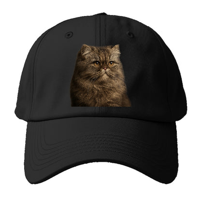 persian-regal-majesty Hat