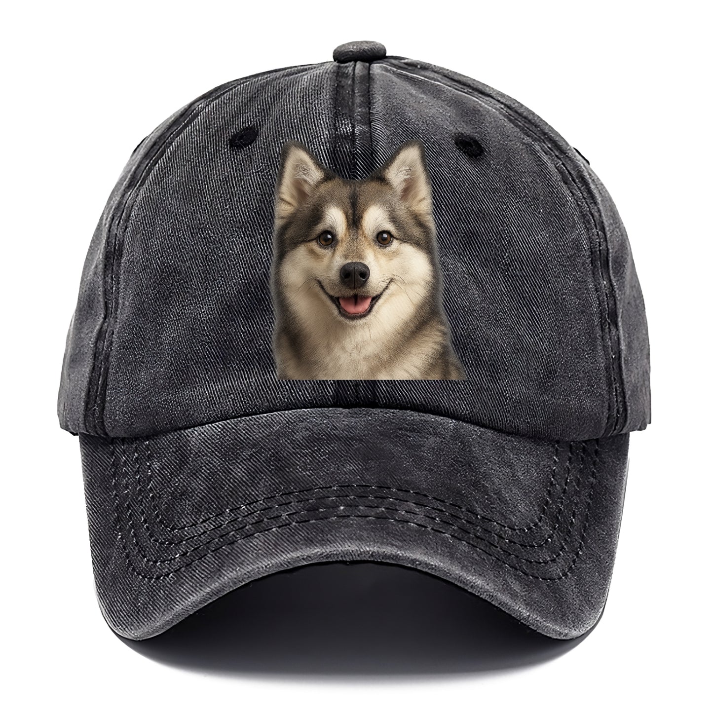 pomsky portrait design Hat