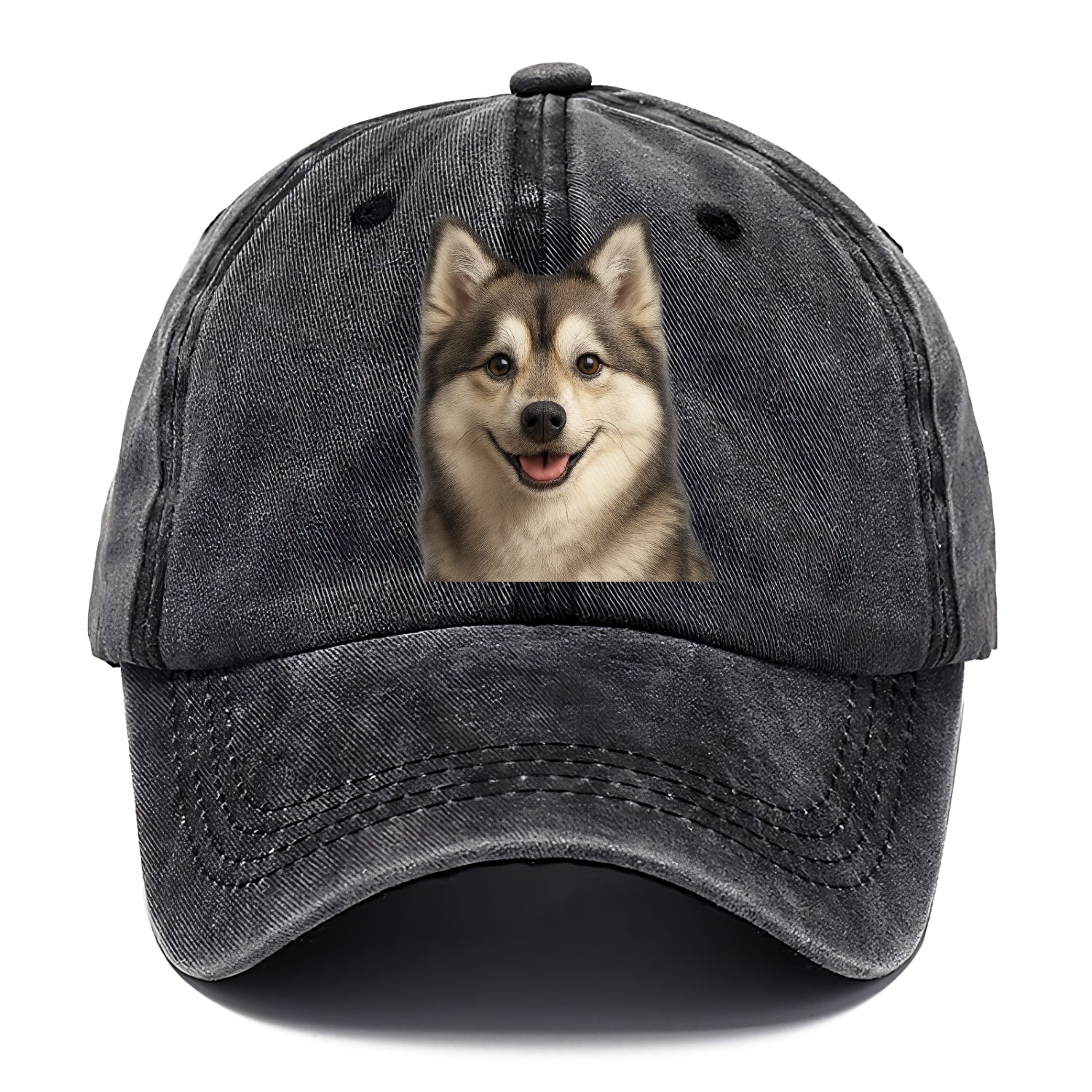 pomsky portrait design Hat