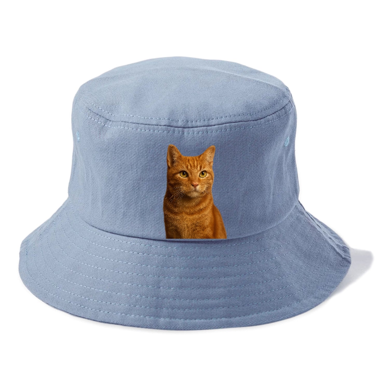 orange-tabby-cozy-companion Hat