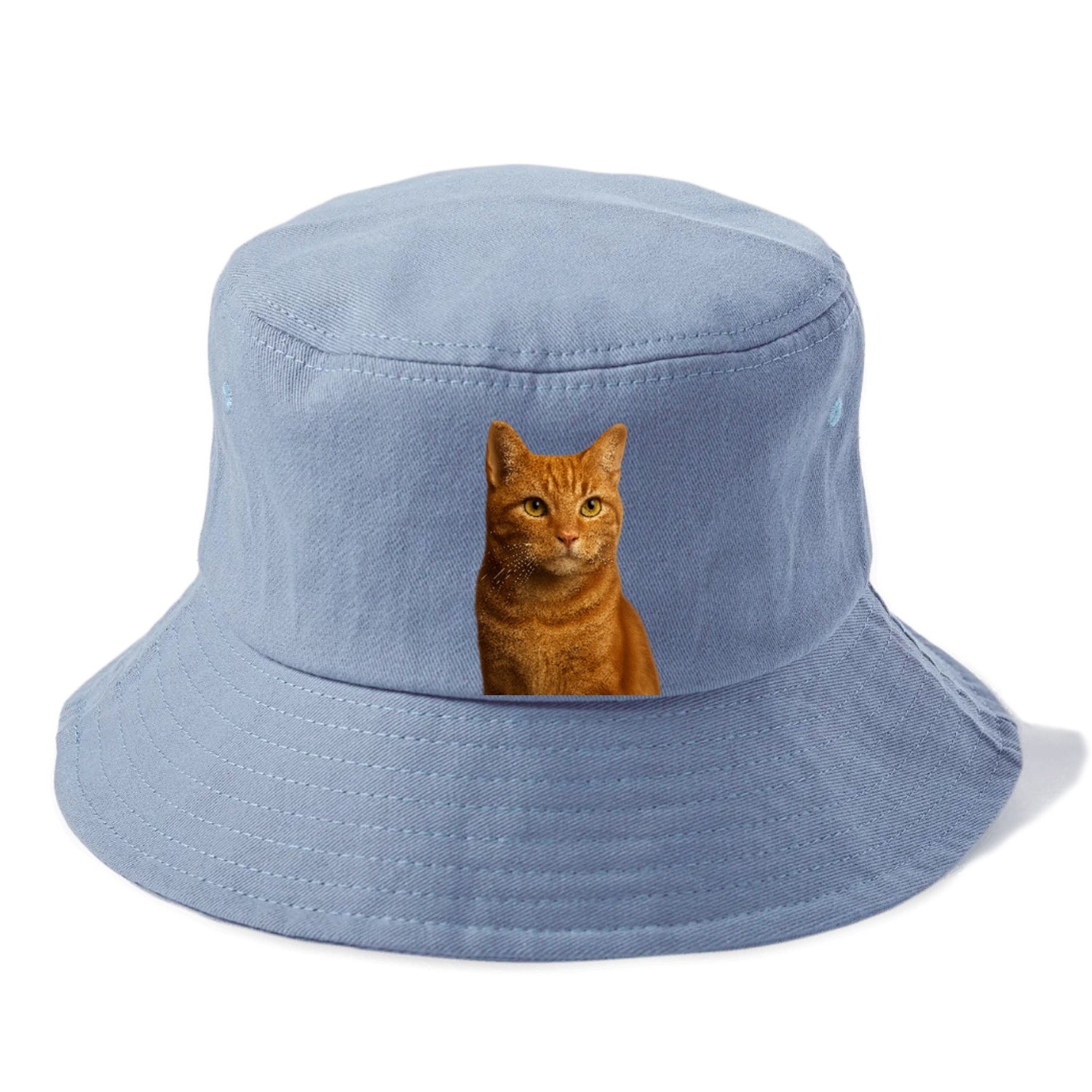 orange-tabby-cozy-companion Hat