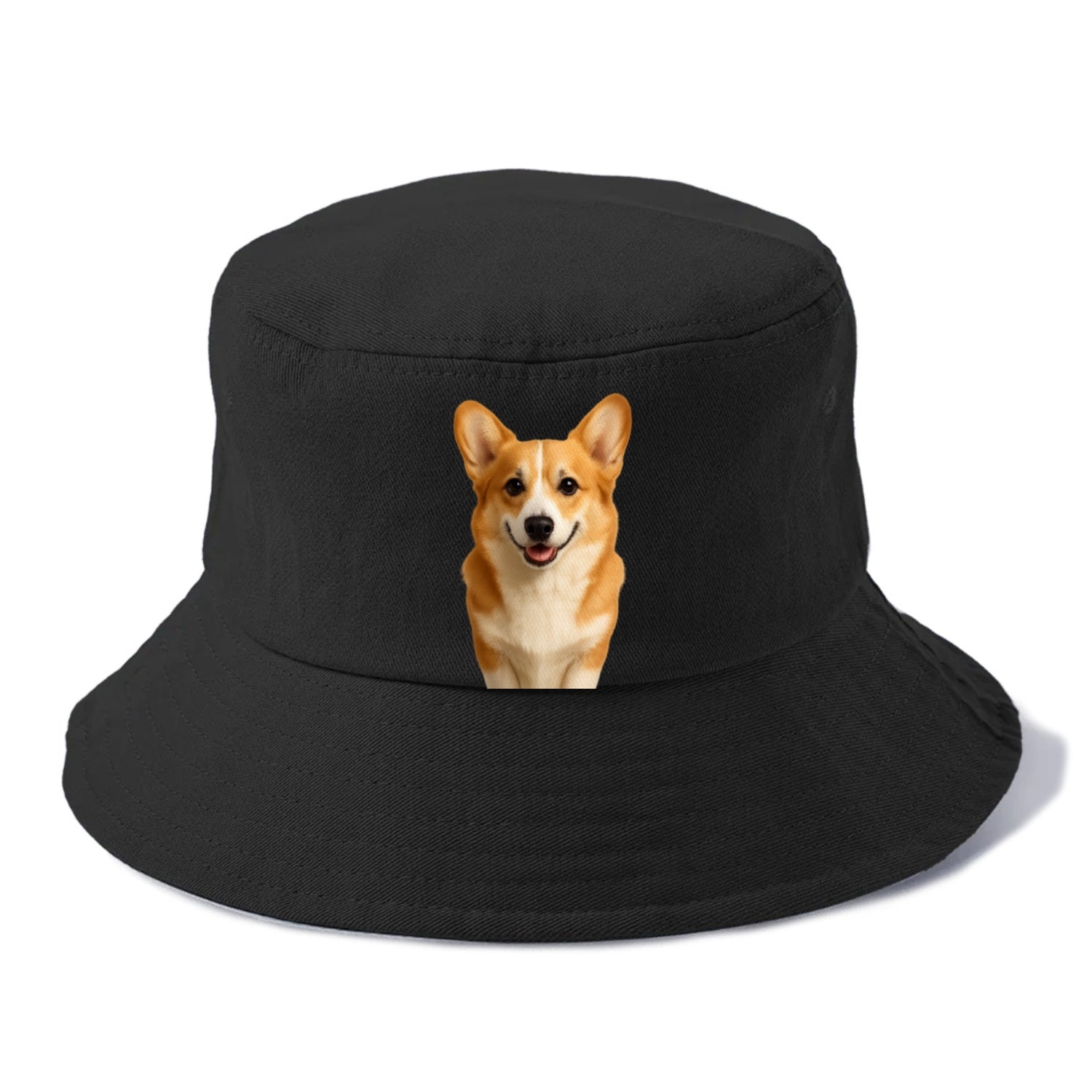 corgi portrait design Hat