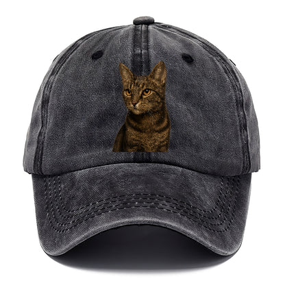 alert-cat-ready-radiant Hat