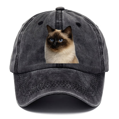ragdoll-gentle-charm Hat