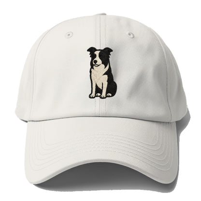 border-collie-intense-focus Hat