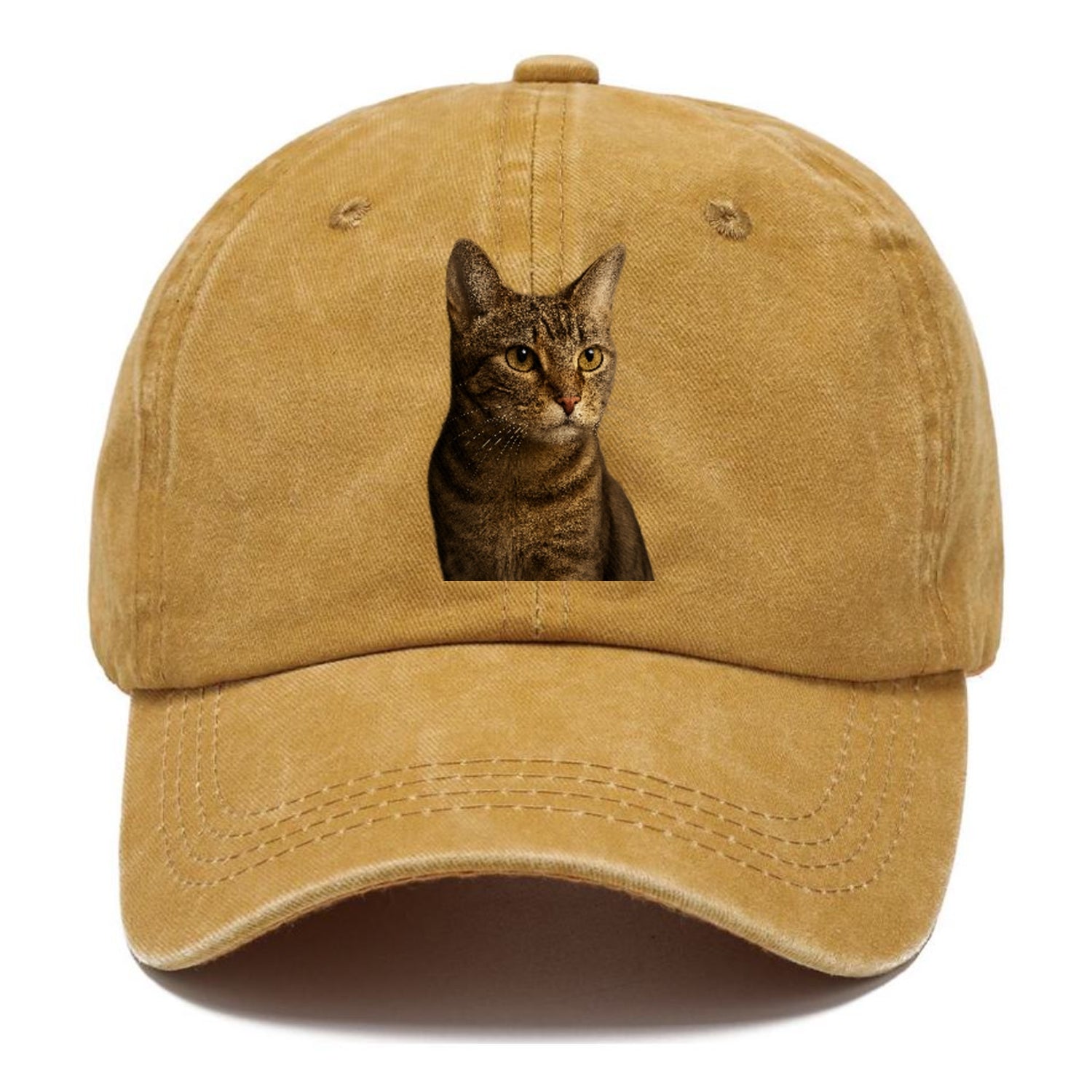 playful-cat-playful-spirit Hat
