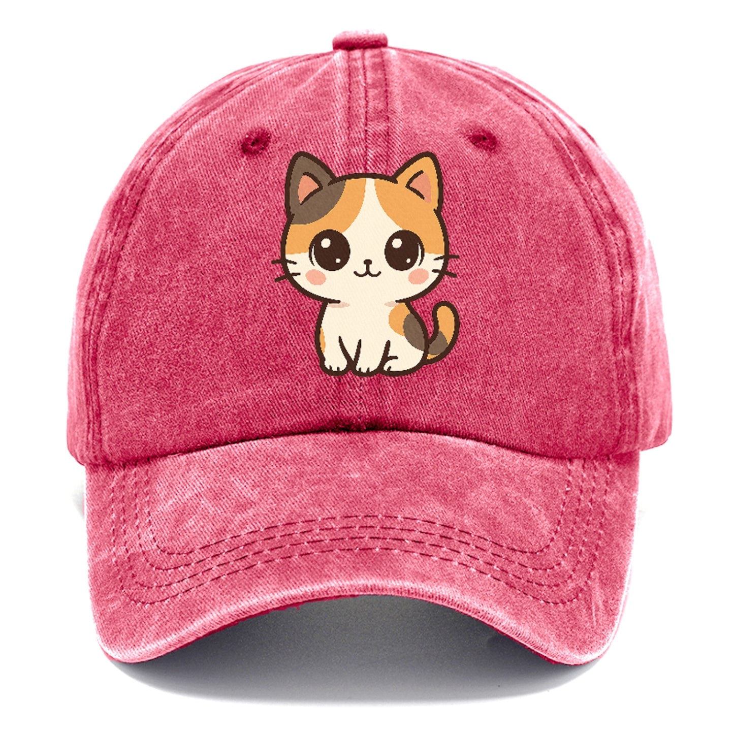 calico-vibrant-spirit Hat