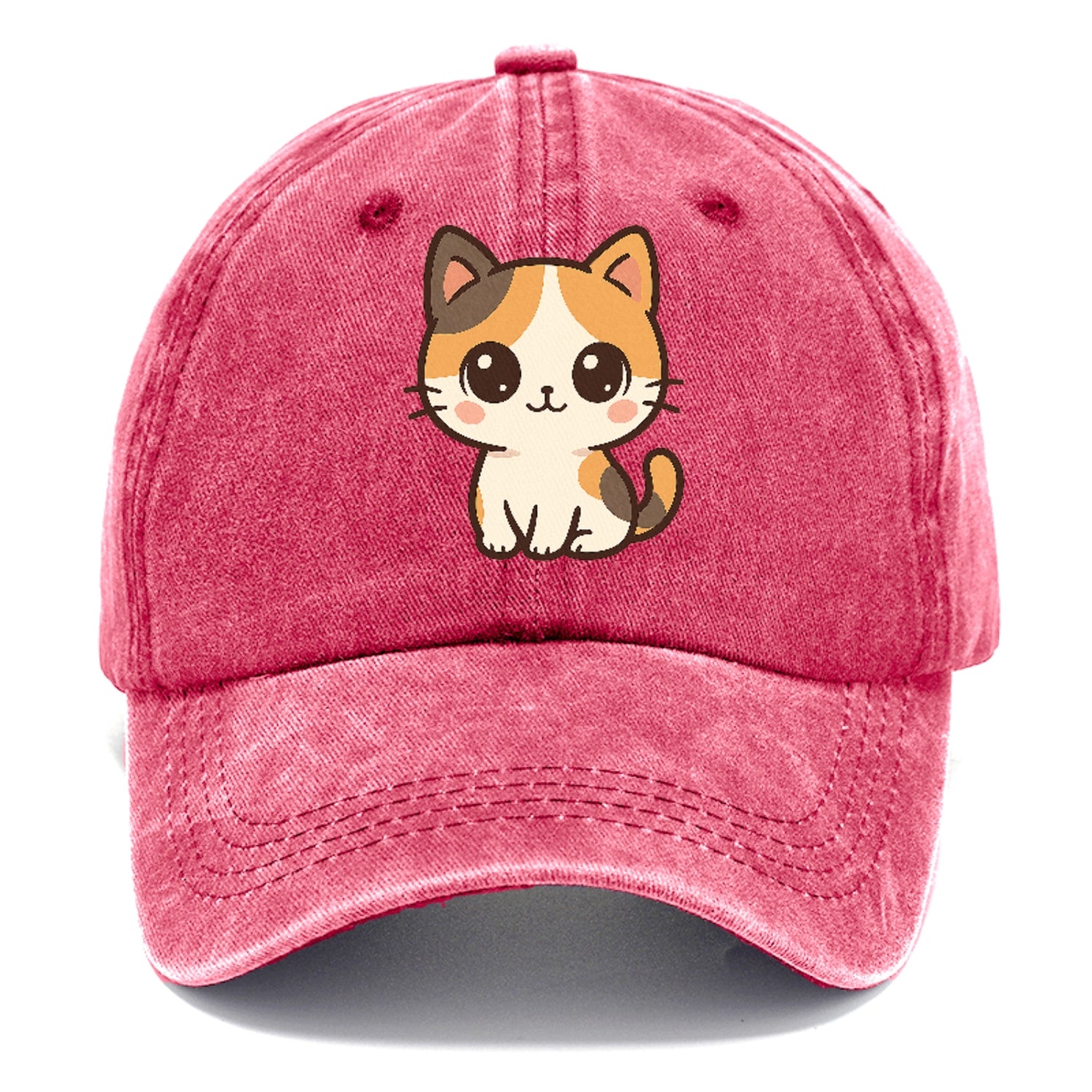 calico-vibrant-spirit Hat