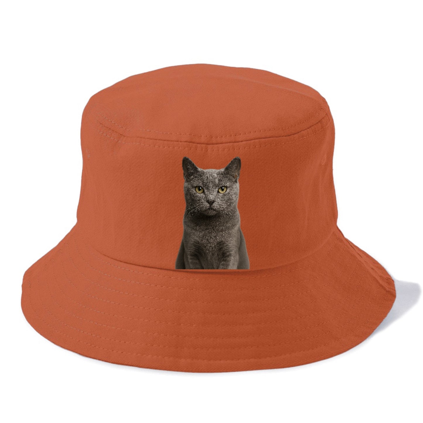 gray-cat-mysterious-charm Hat