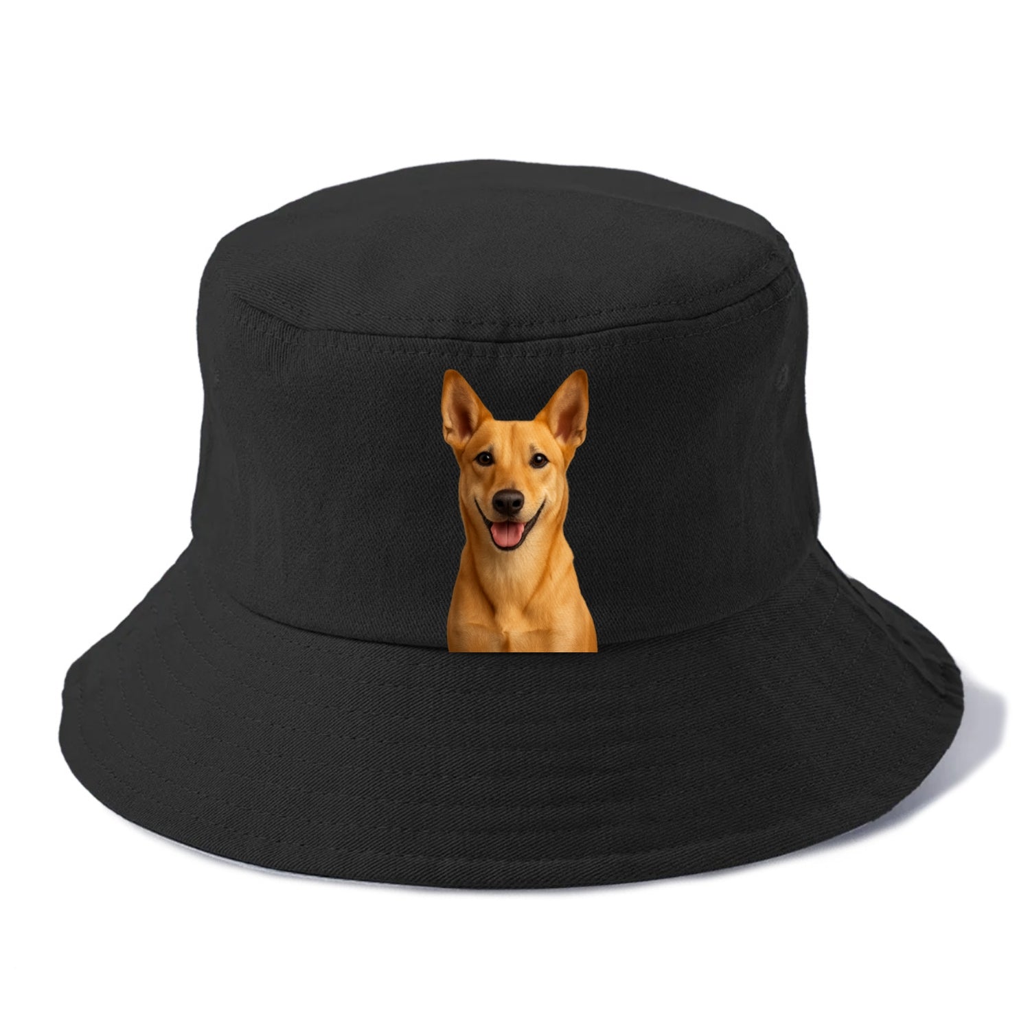 carolina dog: ancient spirit, loyal heart Hat