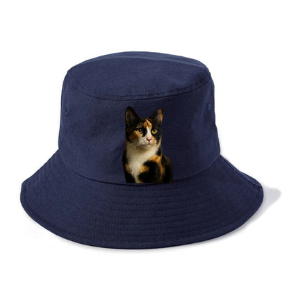 calico-mix-vibrant-spirit Hat