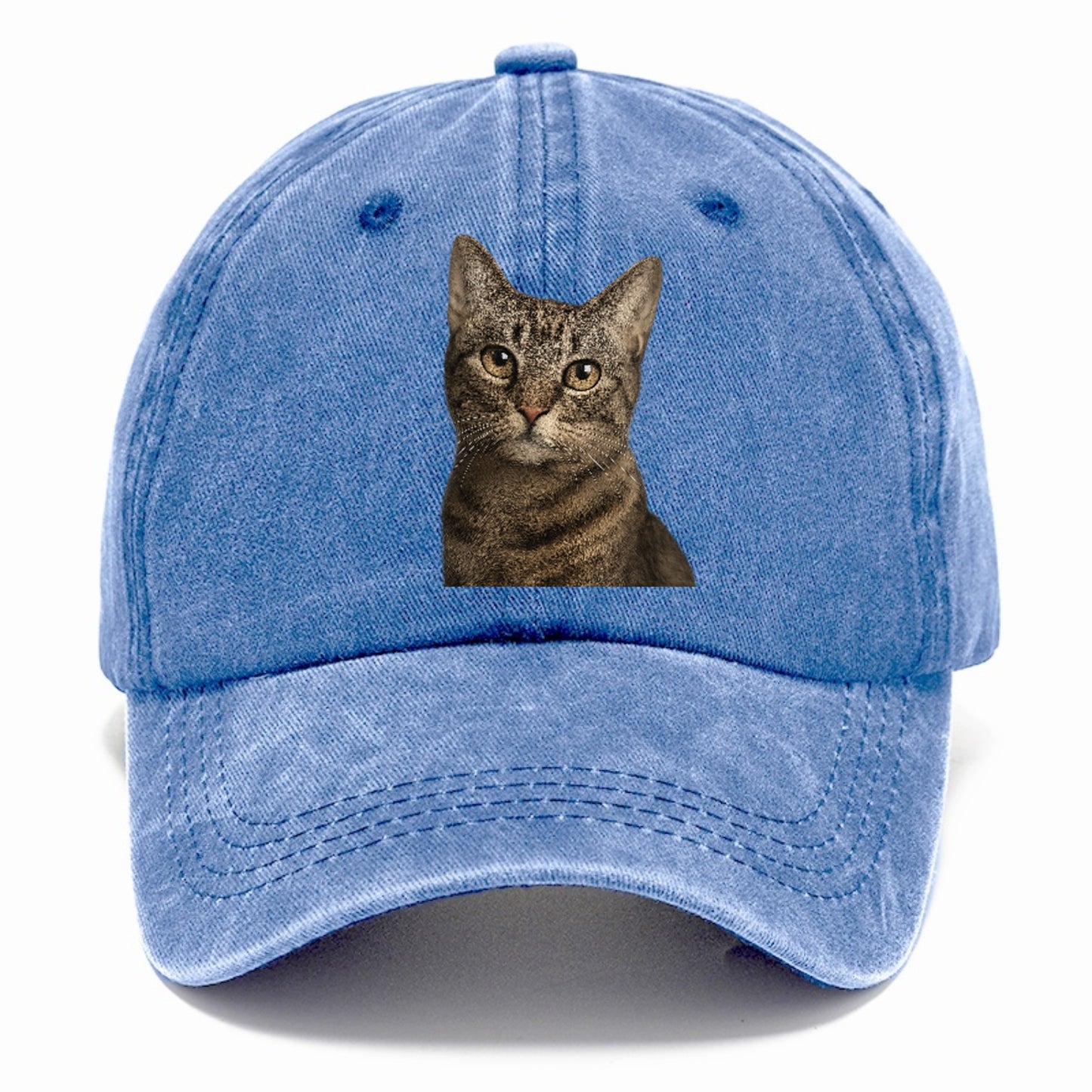 curious-cat-inquisitive-nature Hat