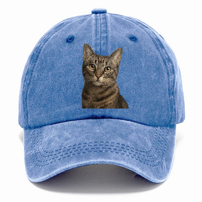 curious-cat-inquisitive-nature Hat
