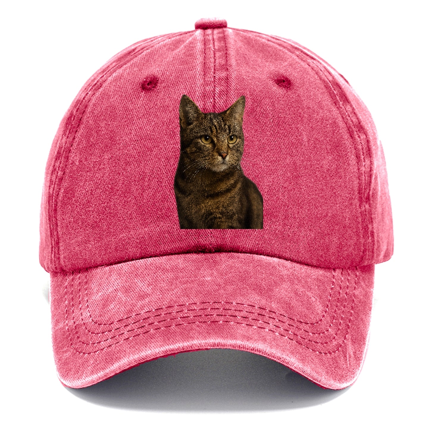 barn-cat-rustic-charm Hat