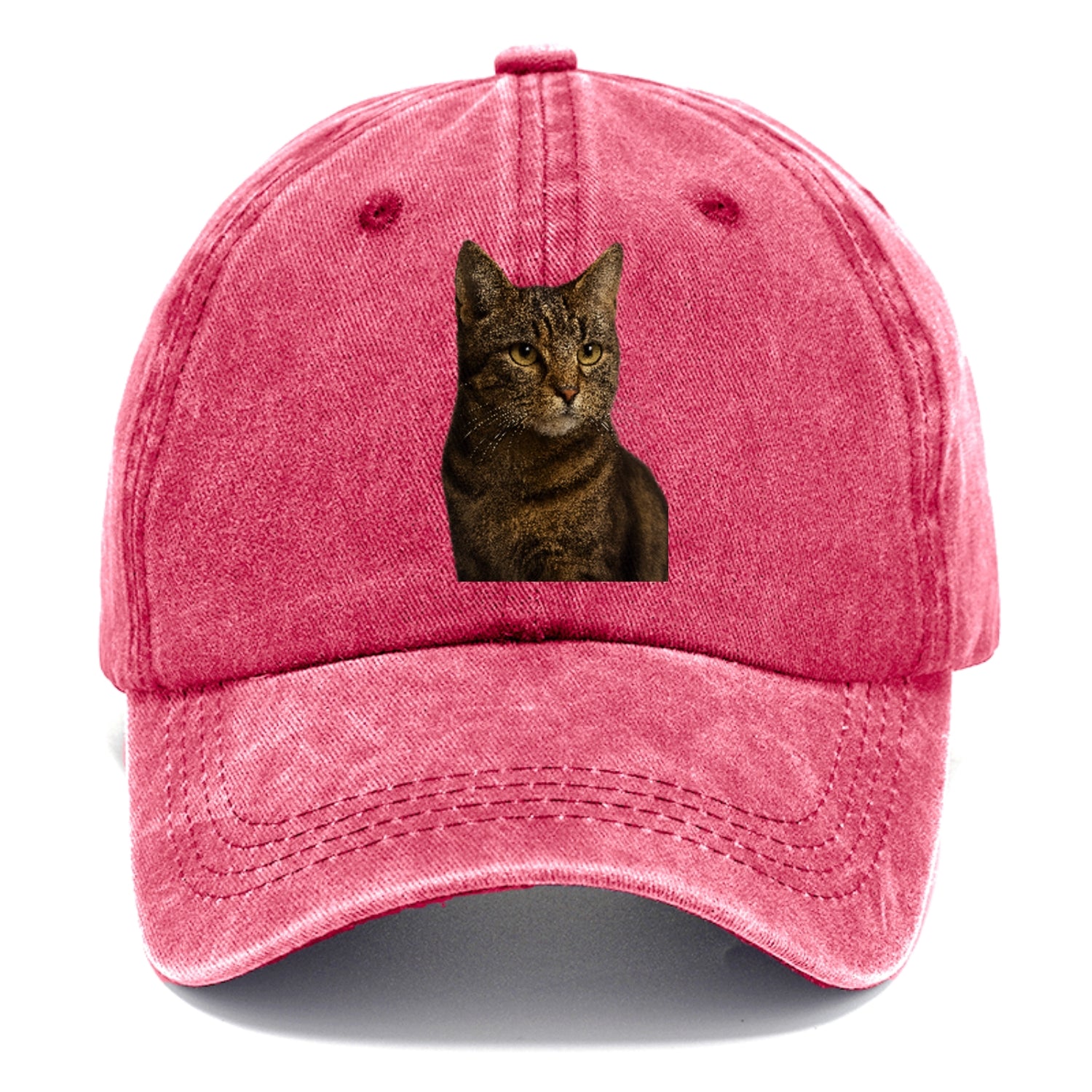 barn-cat-rustic-charm Hat