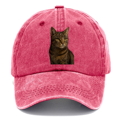 barn-cat-rustic-charm Hat