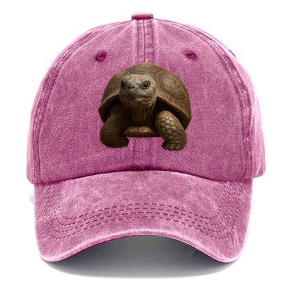 tortoise portrait design Hat