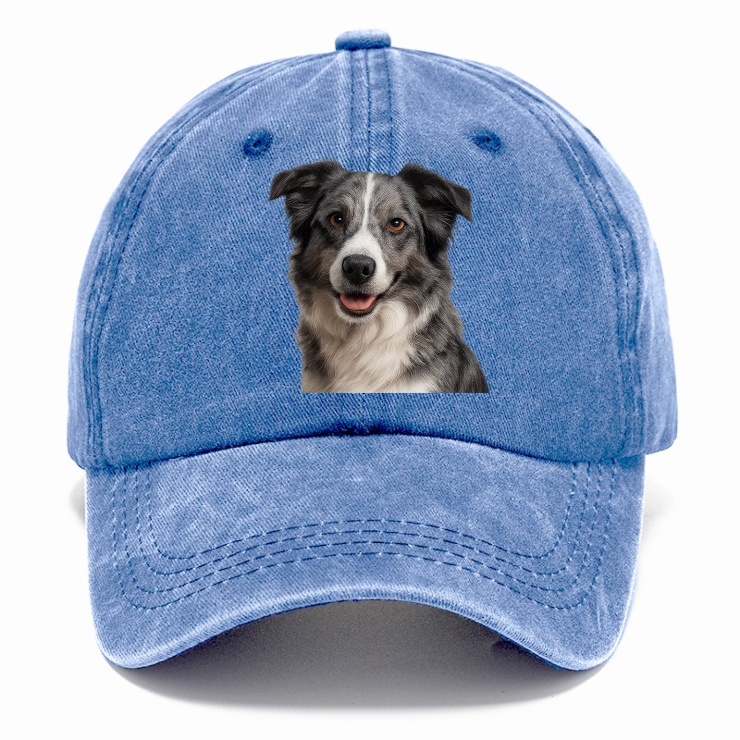 blue merle border collie agile mind Hat
