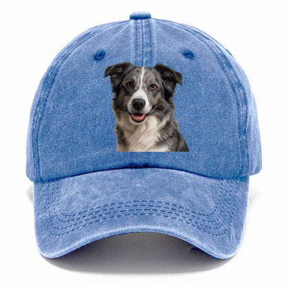 blue merle border collie agile mind Hat