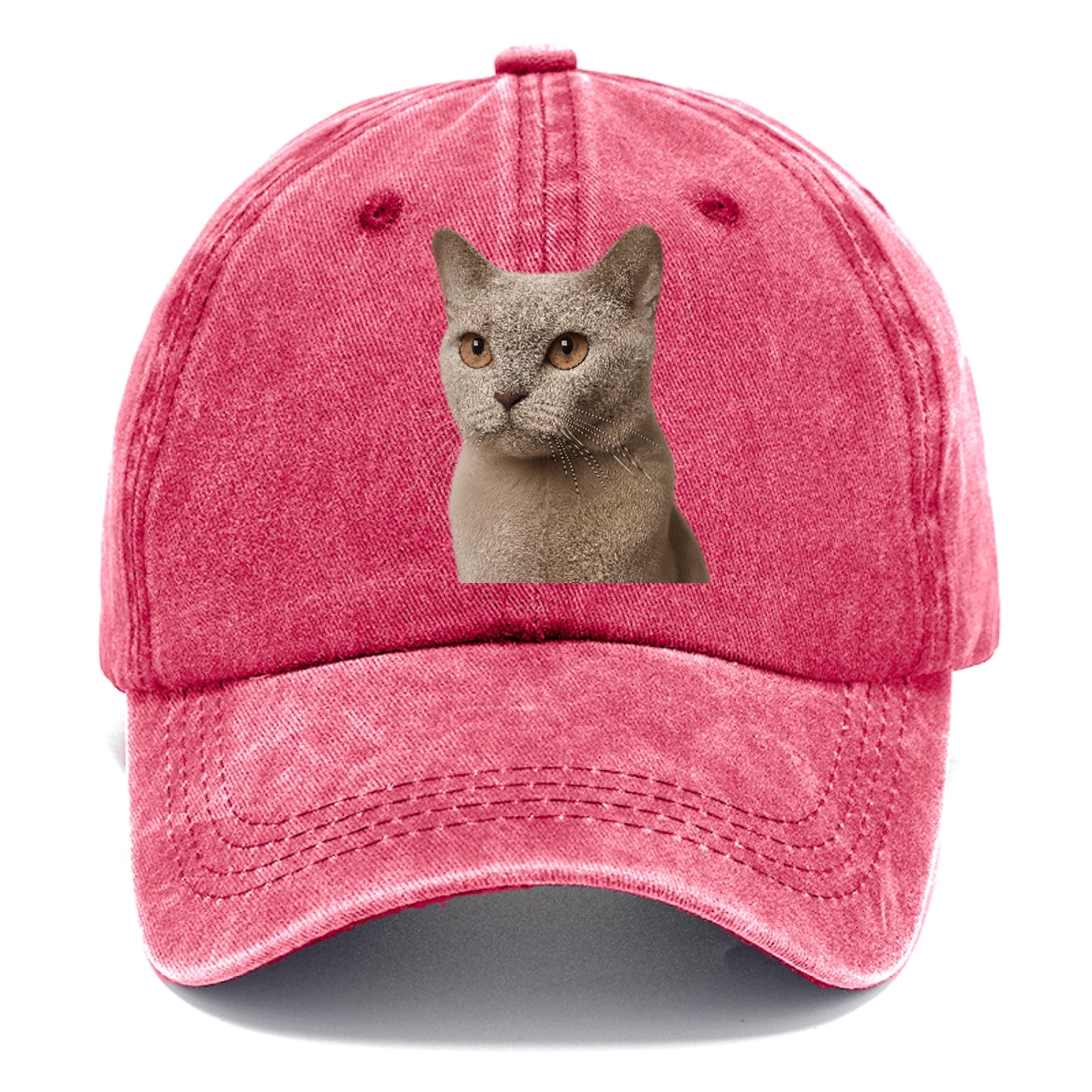 lilac-cat-playful-spirit Hat