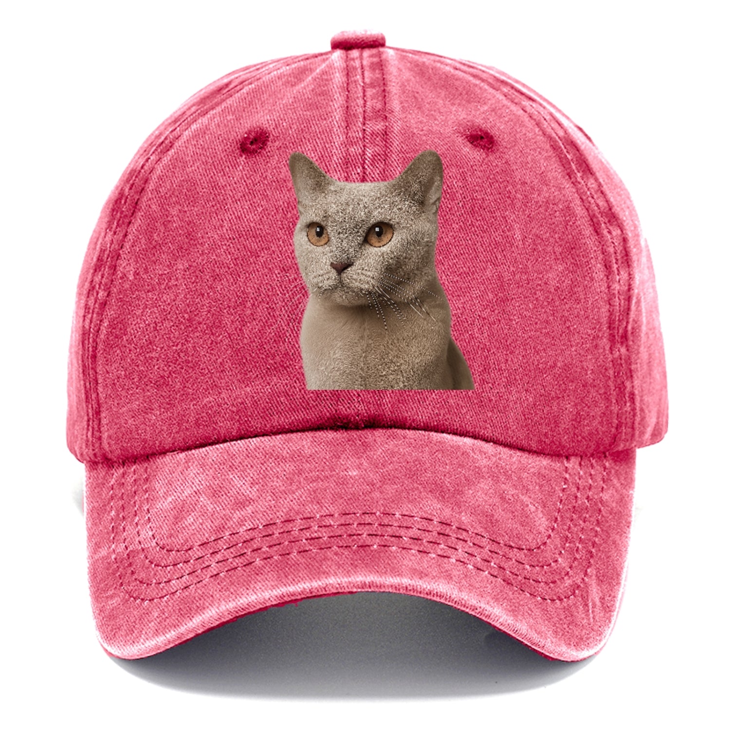lilac-cat-playful-spirit Hat