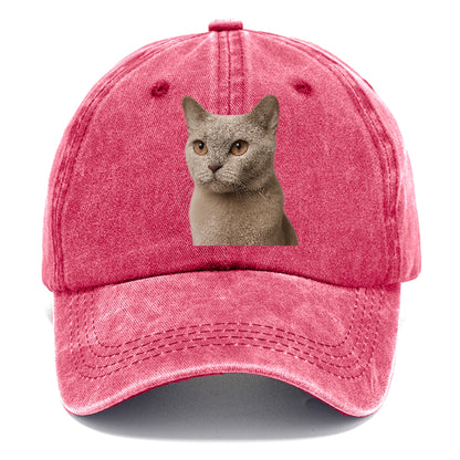 lilac-cat-playful-spirit Hat