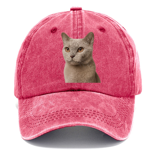 lilac-cat-playful-spirit Hat