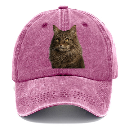 norwegian-forest-cat-wilderness-spirit Hat