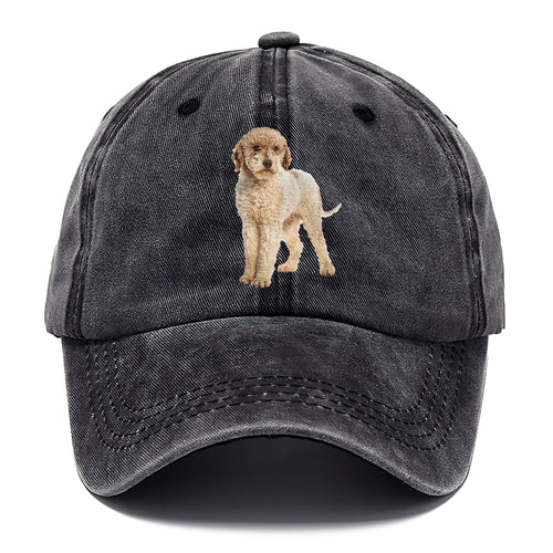 Lagotto Romagnolo Classic Cap