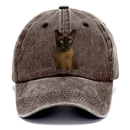 tonkinese-playful-spirit Hat