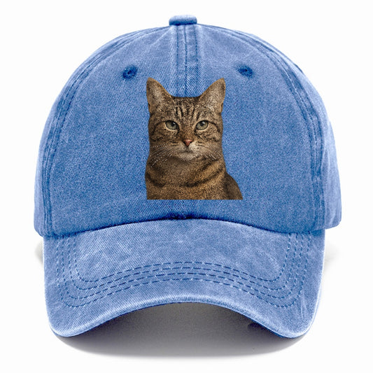 content-cat-curious-charm Hat